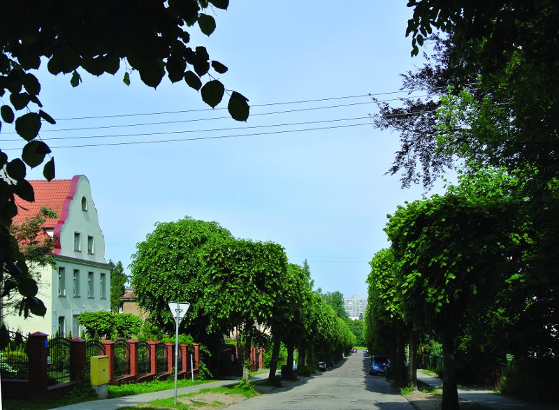 Plik:Ulica Jarosza Henryka Derdowskiego w Oliwie.jpg