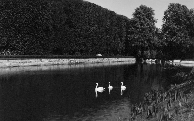 Plik:Park Oliwski, około 1952.jpg