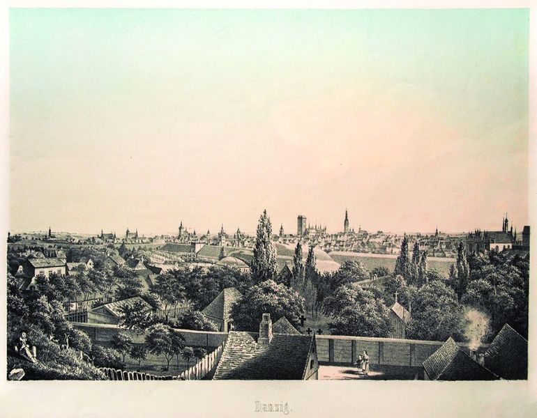 Plik:Widok miasta z Zaroślakiem na pierwszym planie, F. Sala & Co., około 1850.jpg