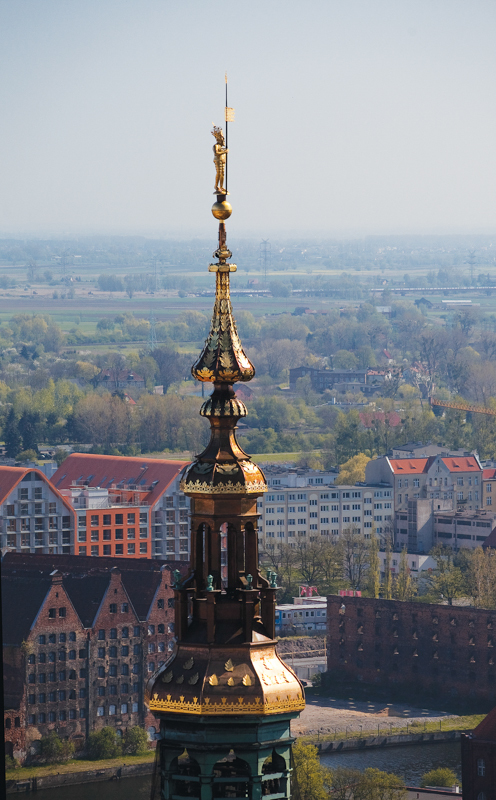 Plik:Posąg króla Zygmunta Augusta na szczycie wieży Ratusza Głównego Miasta.JPG