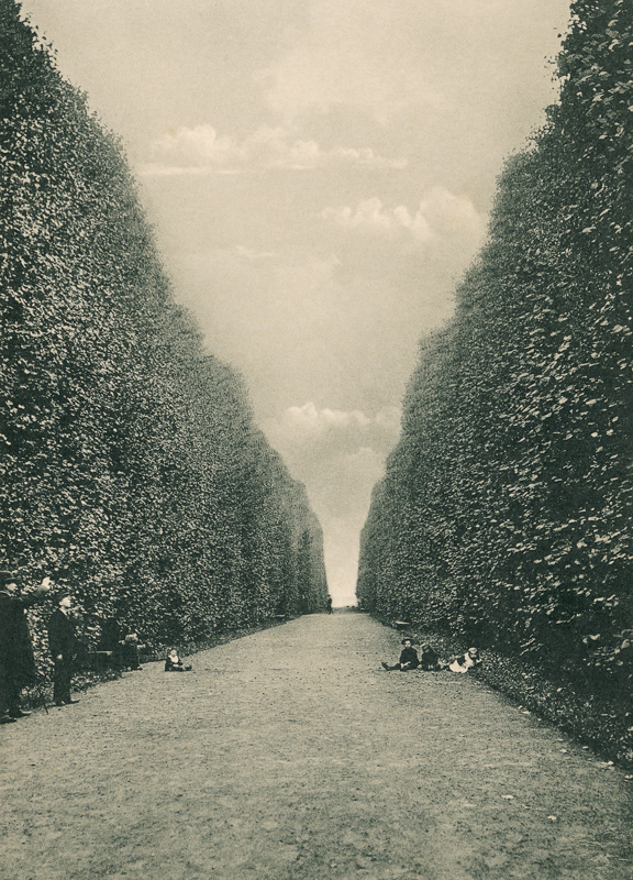 Plik:Aleja Lipowa w Parku Oliwskim, początek XX wieku.JPG